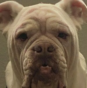 Meet your Posher, Allyson